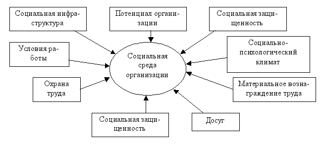 Влияние социальной среды на развитие личности. Социальная среда школы. Структура социальной среды. Социальная среда ее особенности. Социальная среда ее особенности.
