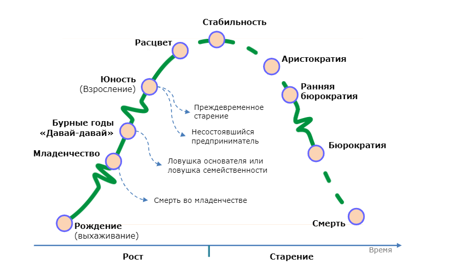 Модели жизненного цикла организации адизес. Ицхак адизес жизненный цикл компании. ицхак адизес модель жизненного цикла организации. модель адизеса жизненный цикл организации. адизес стадии жизненного цикла.